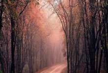 开云体育平台APP-天津泰达击败广州富力，赢得关键胜利