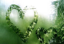 开云体育平台APP-鹿岛鹿角阵容齐整，劲旅全力以赴世俱杯争冠