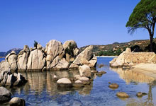 开云体育下载-篮筐之外的战场：非洲杯赛场外那些不为人知的逆袭与暗涌