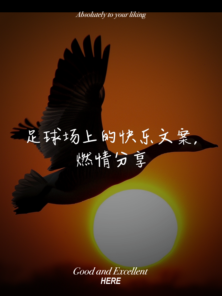 开云体育app-关于世界级足球竞技场上燃情比拼，胜负难测的信息