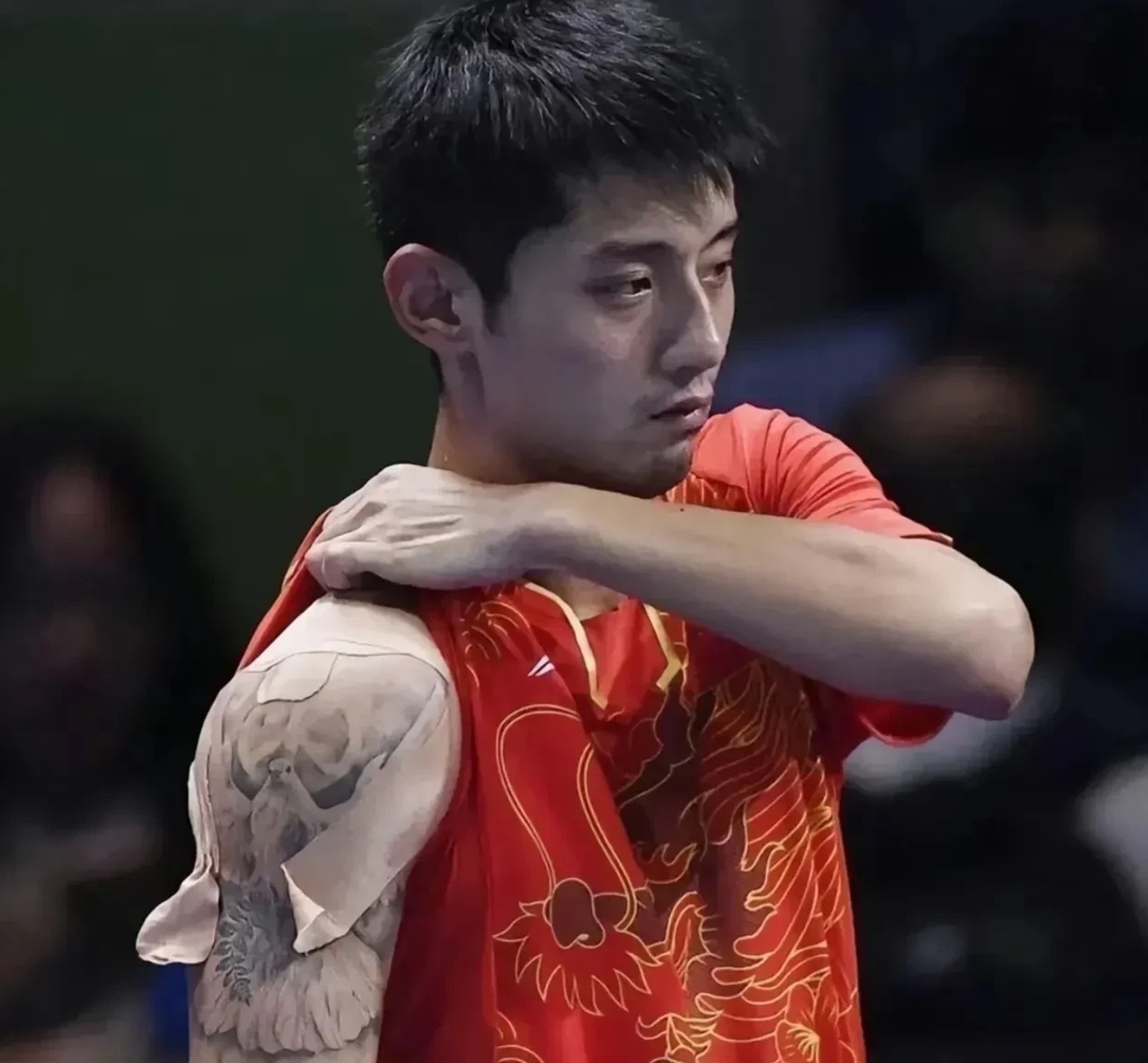 法国队横扫波兰队，张继科惊艳四座