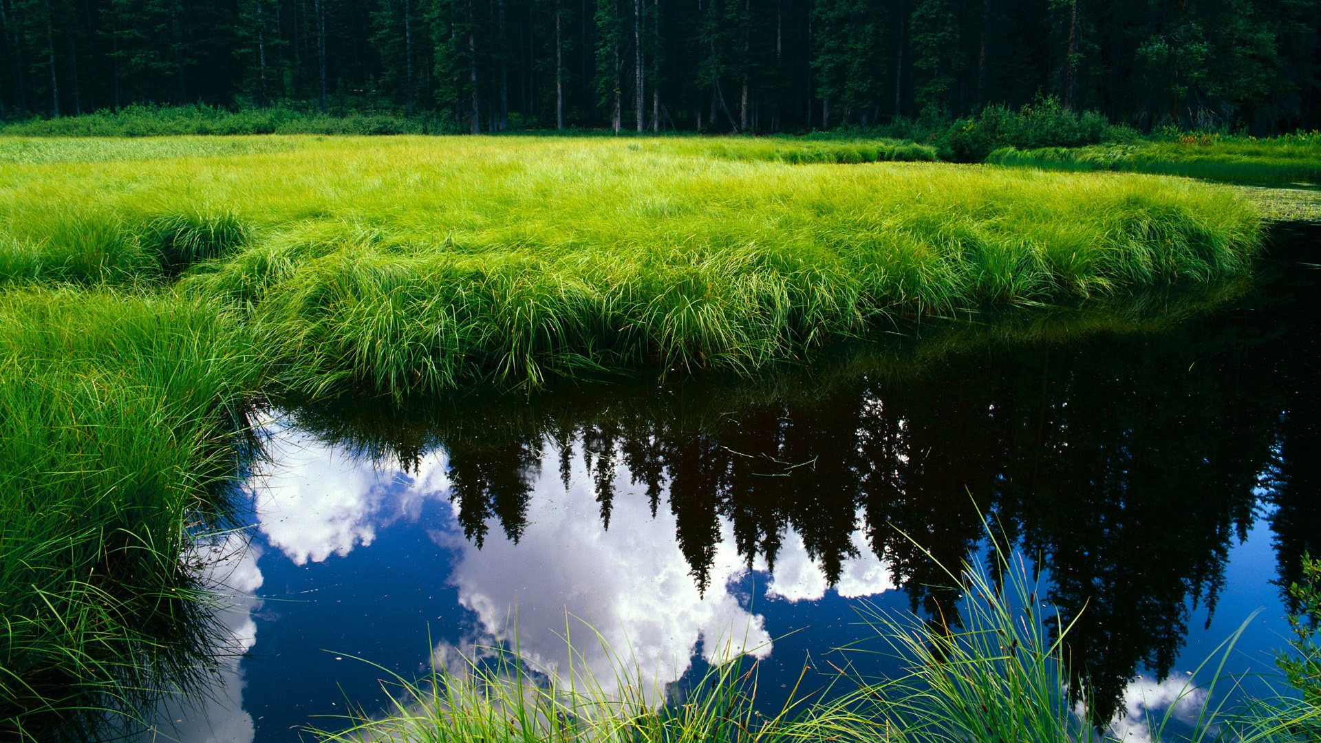 德罗赞关键绝杀！热火107-105斩落独行侠捍卫主场