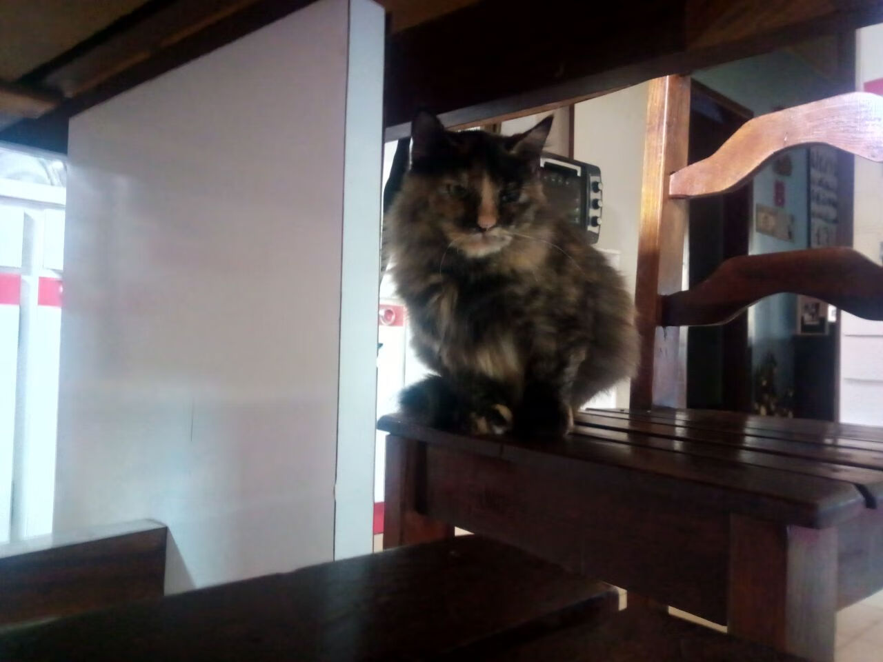 德罗赞跨界引爆F1年度争冠夜，存在感拉满见证体育狂欢