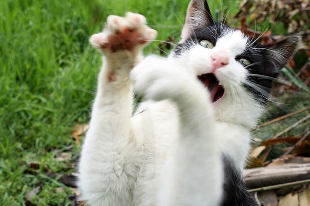 火力全开，英雄登场，上海队压制深圳，贝恩关键接管诠释奥运周期真谛