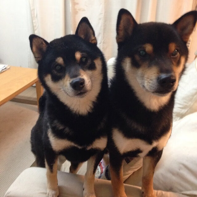 -迪马利亚状态火热点燃绿茵，冰岛淘汰希腊再演北欧奇迹