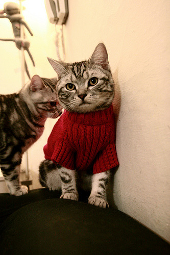 铁蹄踏碎童话，2026世界杯加纳三球完胜哥斯黎加晋级之路再无阻碍