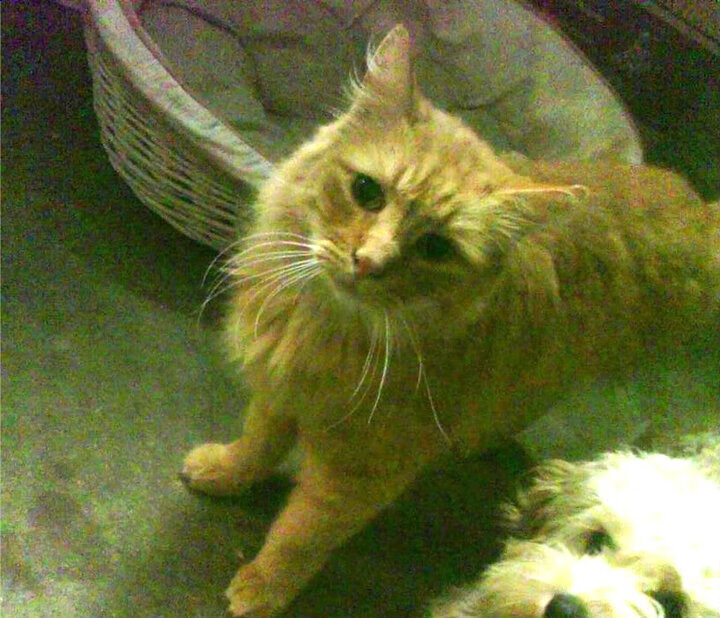 开云体育登录-哈弗茨闪耀罗马城，日耳曼战车力克委内瑞拉