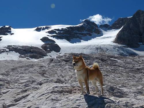 开云APP-英格拉姆单骑破阵！末节19分击溃独行侠，马刺新王登基之夜