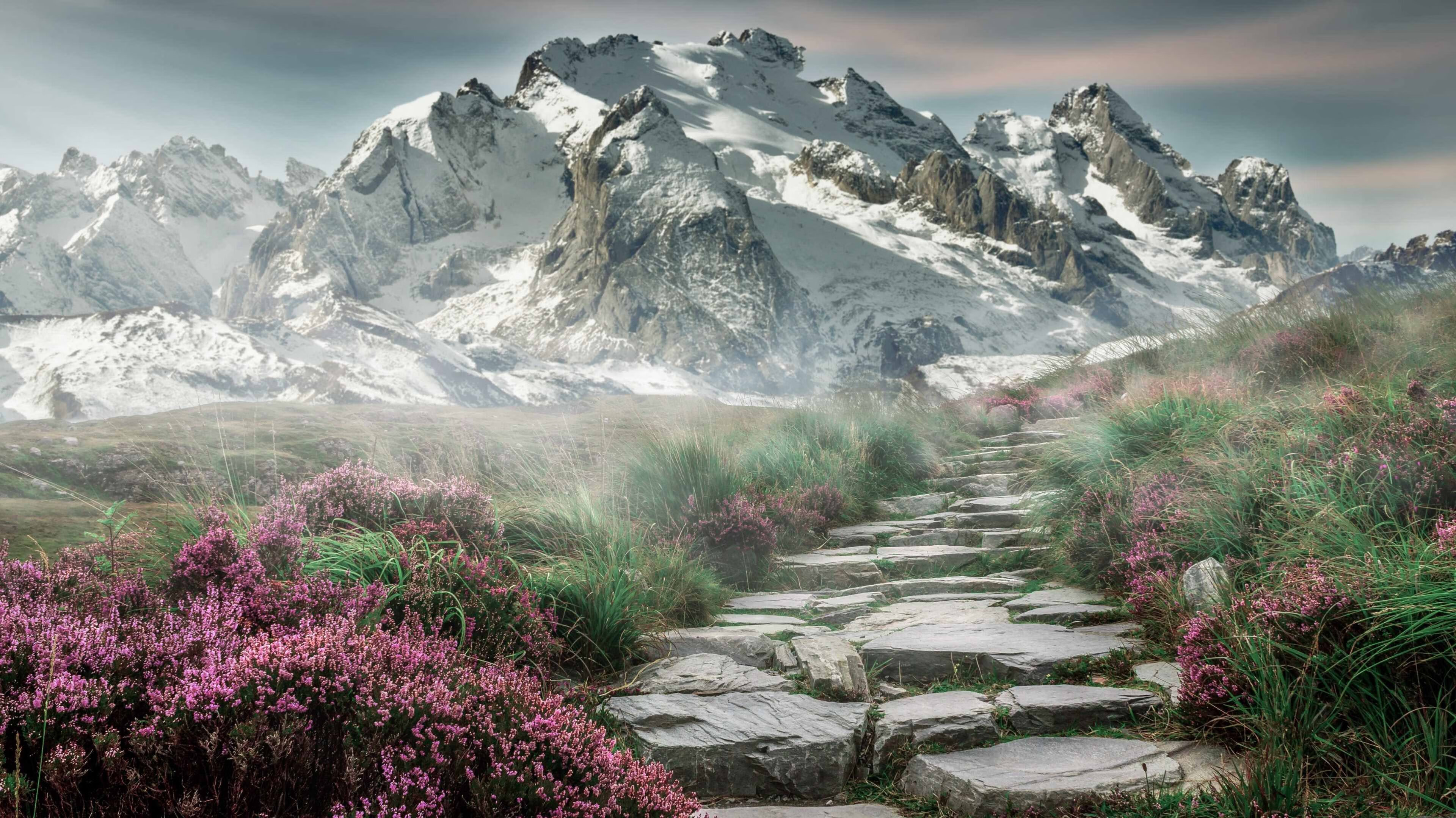 开云体育app-绿茵启示录，马丁内利的突破与克罗地亚的冷静，解读足球的悬念终结者