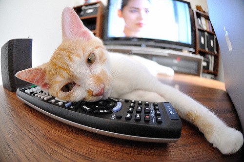 绿茵启示录,马丁内利的突破与克罗地亚的冷静,解读足球的悬念终结者