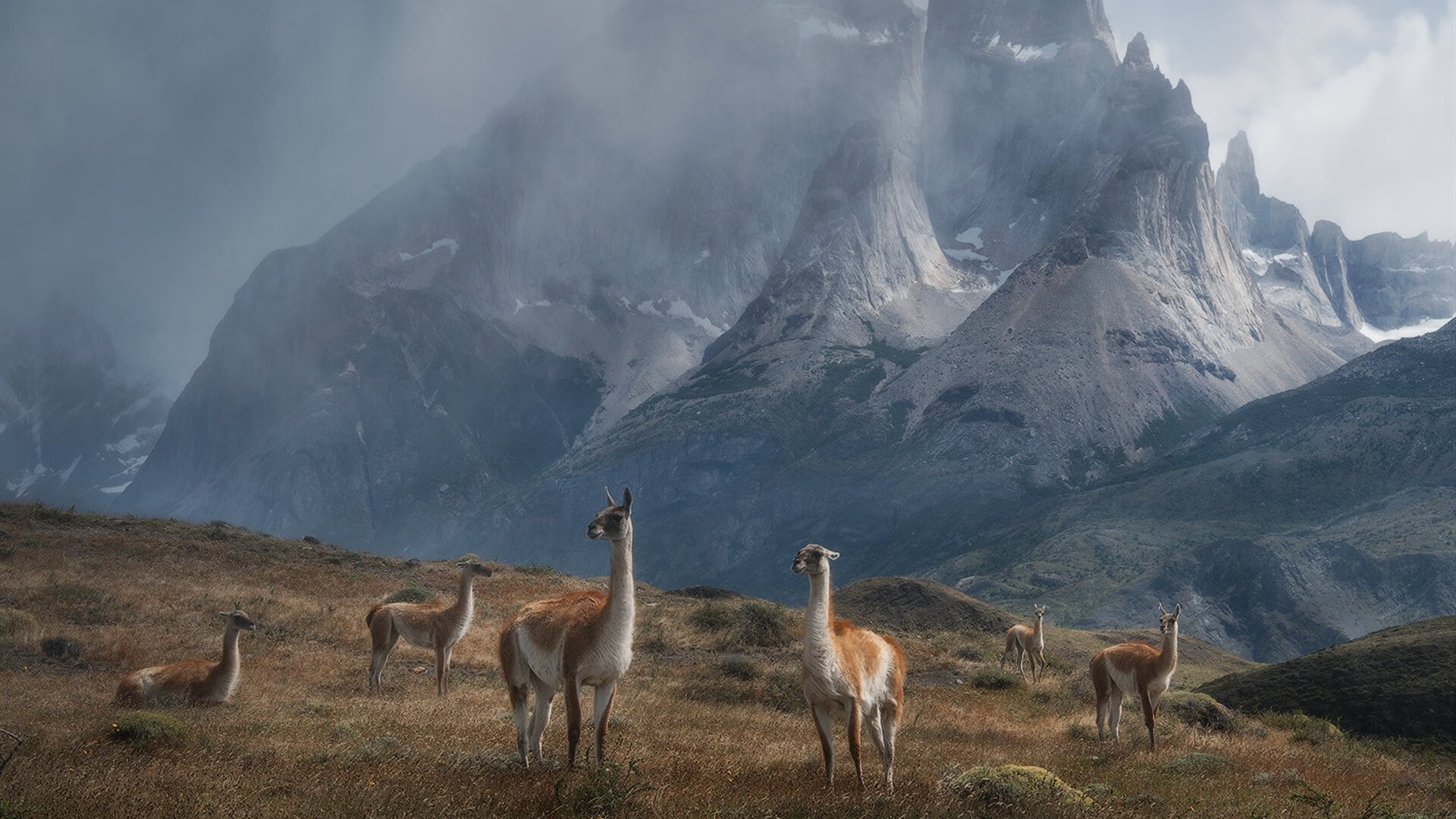 开云体育入口-克莱神射破云霄，步行者轻取深圳队展露冠军相