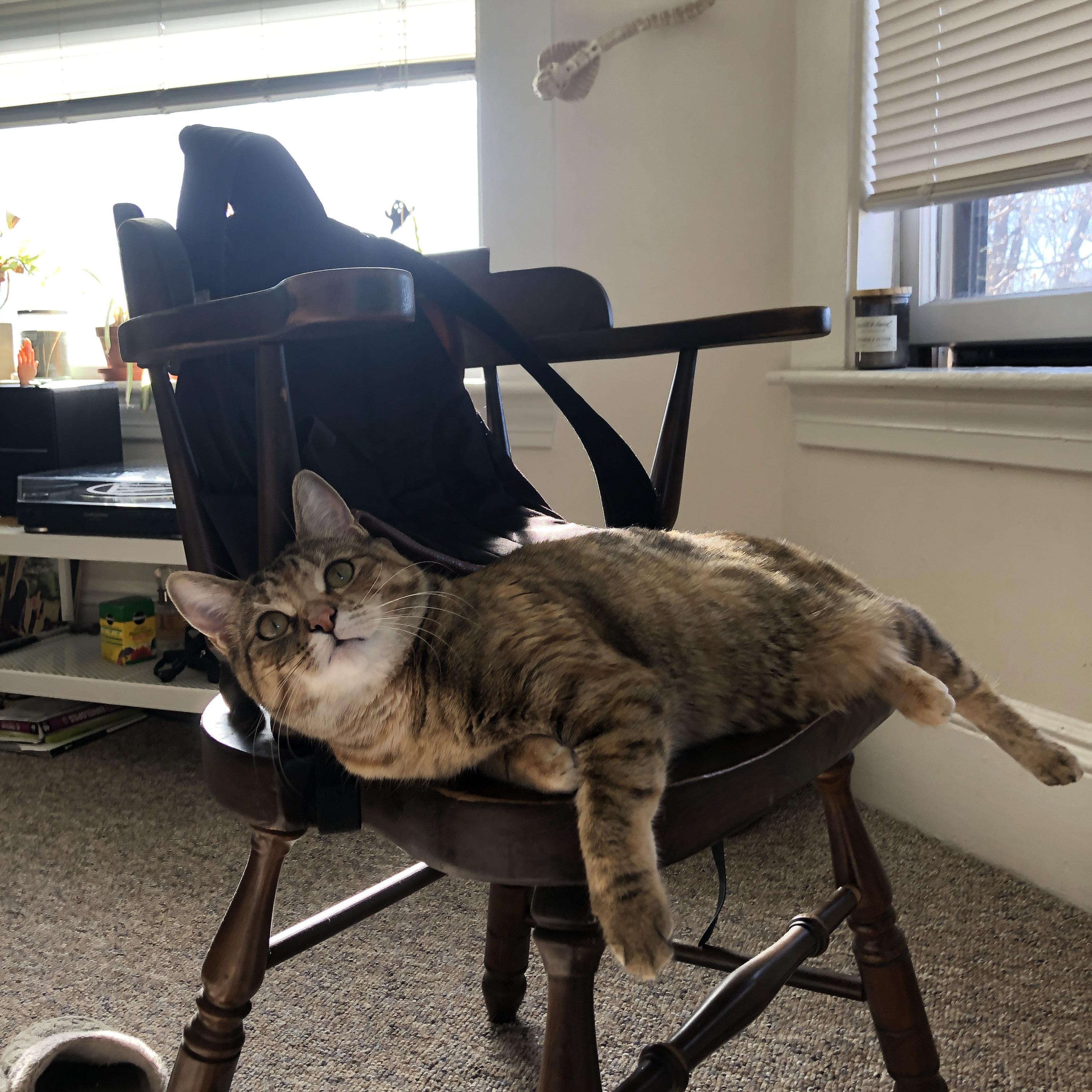 南十字星照耀文艺复兴之城,赖斯一战封神,澳大利亚足球开启新纪元