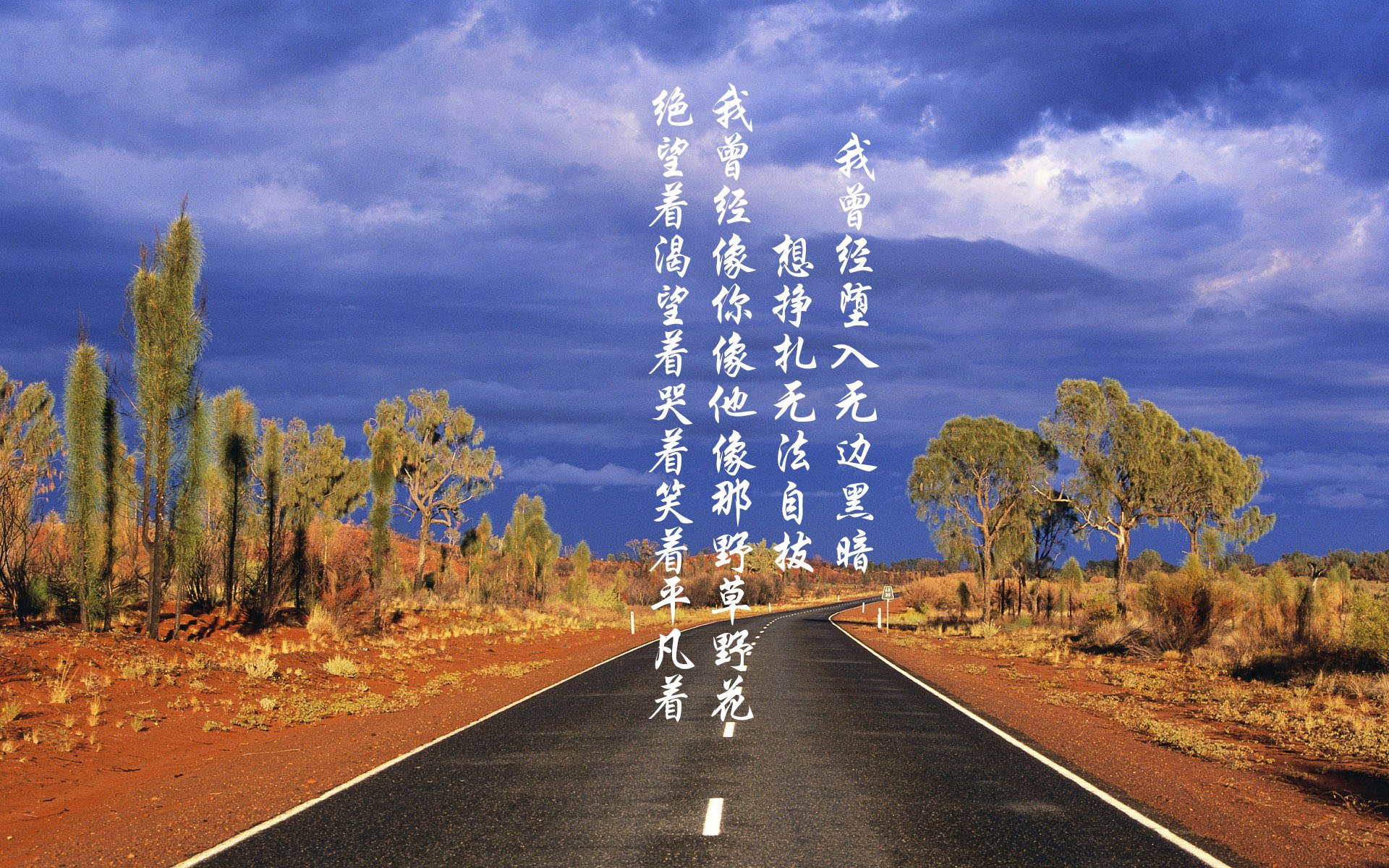 -一剑封喉！小贾伦大心脏三分绝杀，黄蜂蛰伤公牛捍卫主场