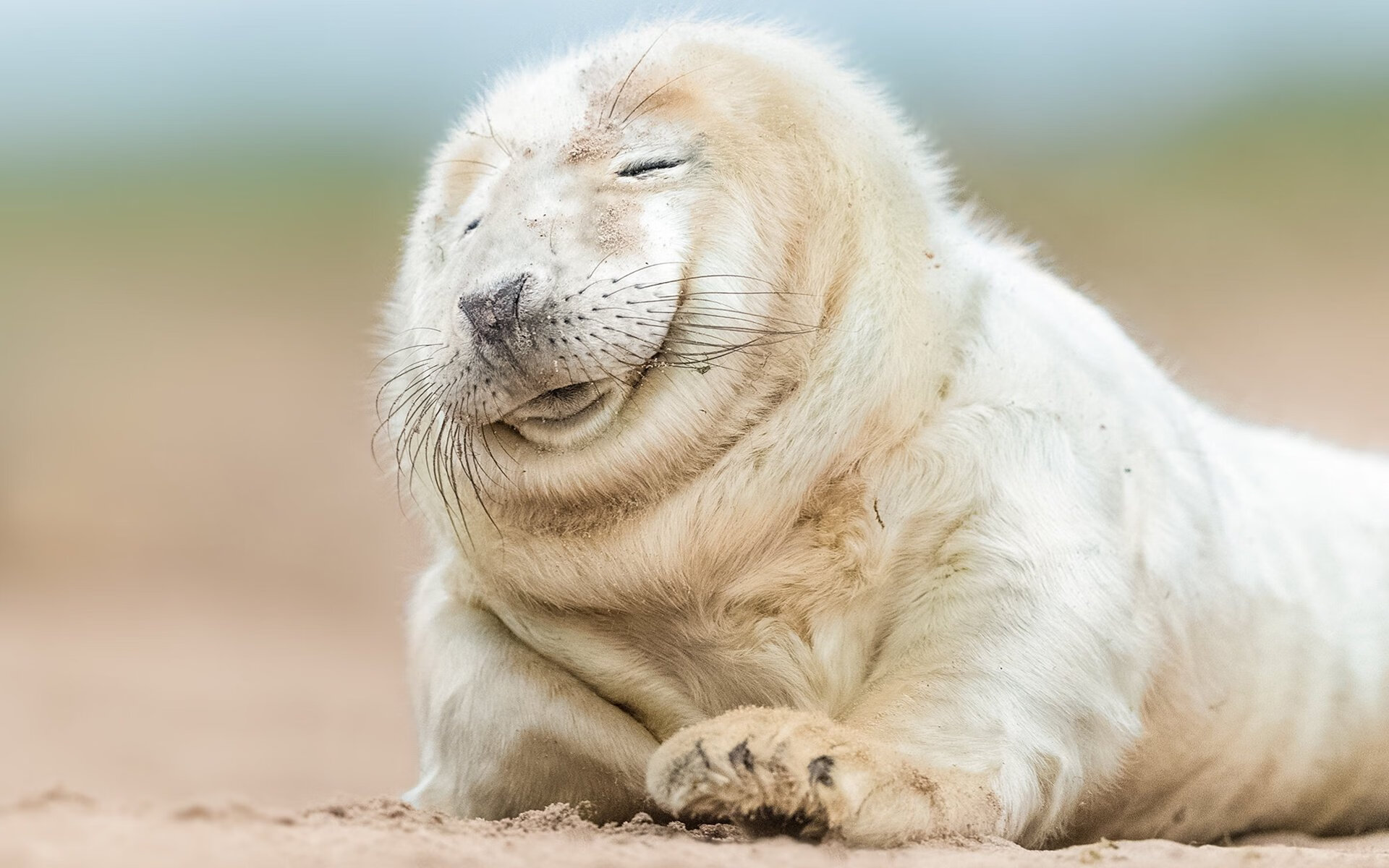 双面浓眉，当23分23篮板成为最沉默的生死宣言