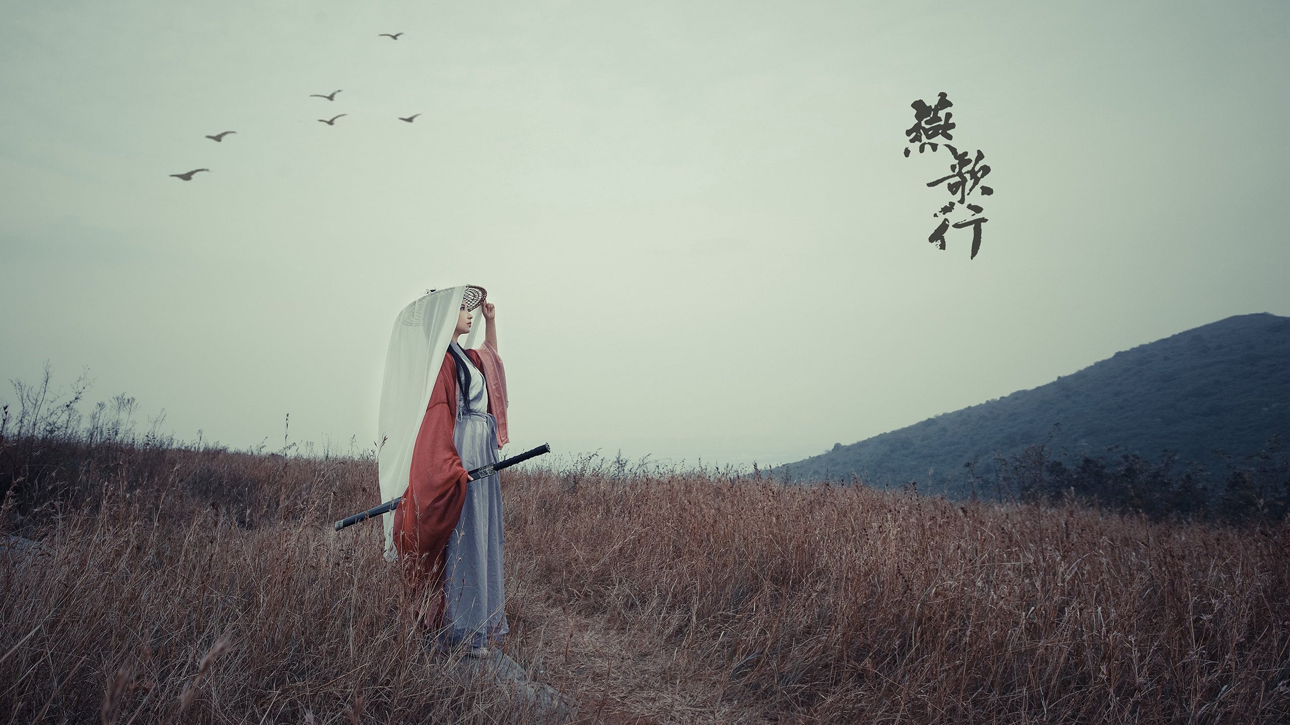 热火力克森林狼，布克数据全面爆炸书写传奇之夜