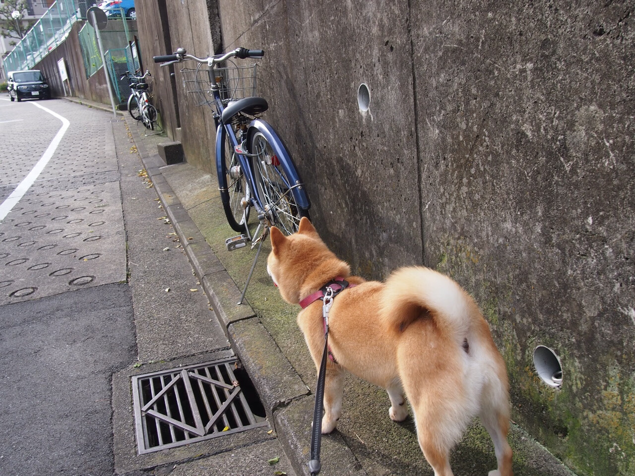 热火力克森林狼，布克数据全面爆炸书写传奇之夜