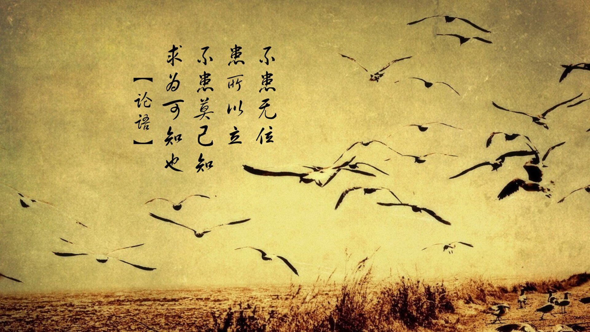 当瑞士精工遭遇丹麦童话，本泽马的数据却在讲述另一个足球真理