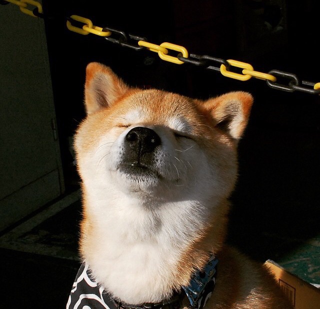 卡塞米罗加时爆发定乾坤，美国险胜尼日利亚显韧性