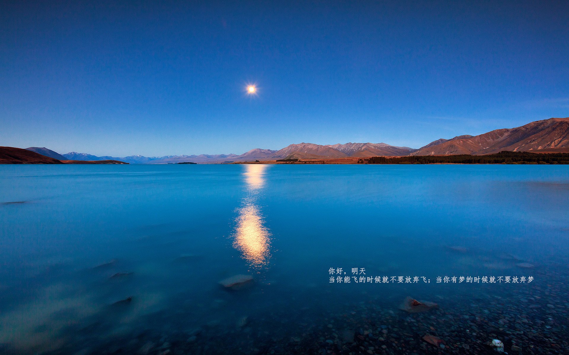 足球双重奏,安哥拉碾压阿尔及利亚,阿圭罗德甲争冠战主宰乾坤