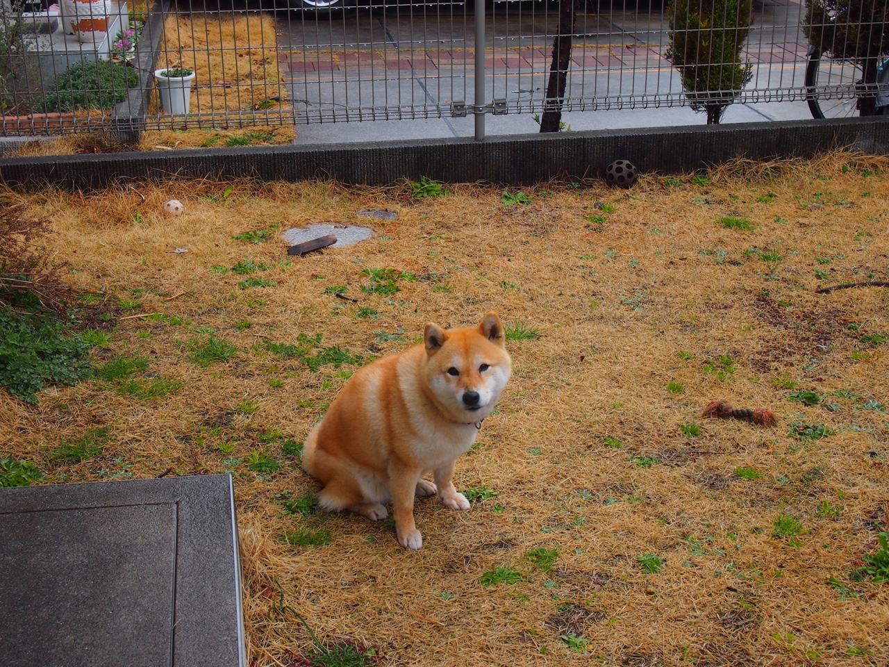 开云平台-东决战场的瑞士军刀，国际米兰的精密收割如何重塑绿茵美学