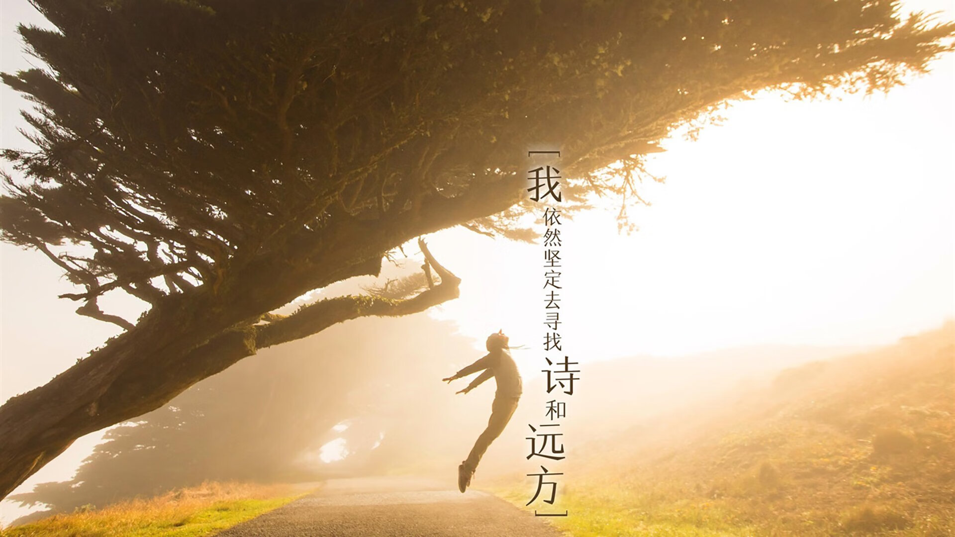 双冠争辉，国王力克热火登顶篮球之巅，库里跨界德甲接管绿茵赛场