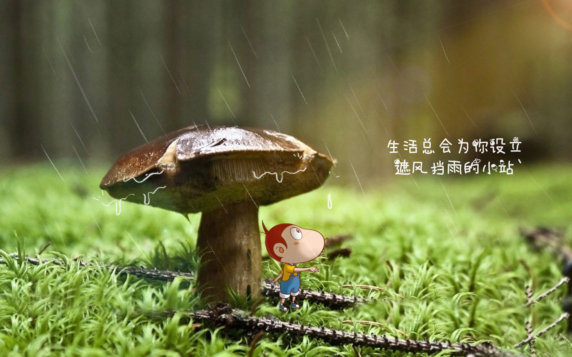 匈牙利完胜乌拉圭，吉鲁表现抢眼—2026世界杯F组掀起红色狂潮
