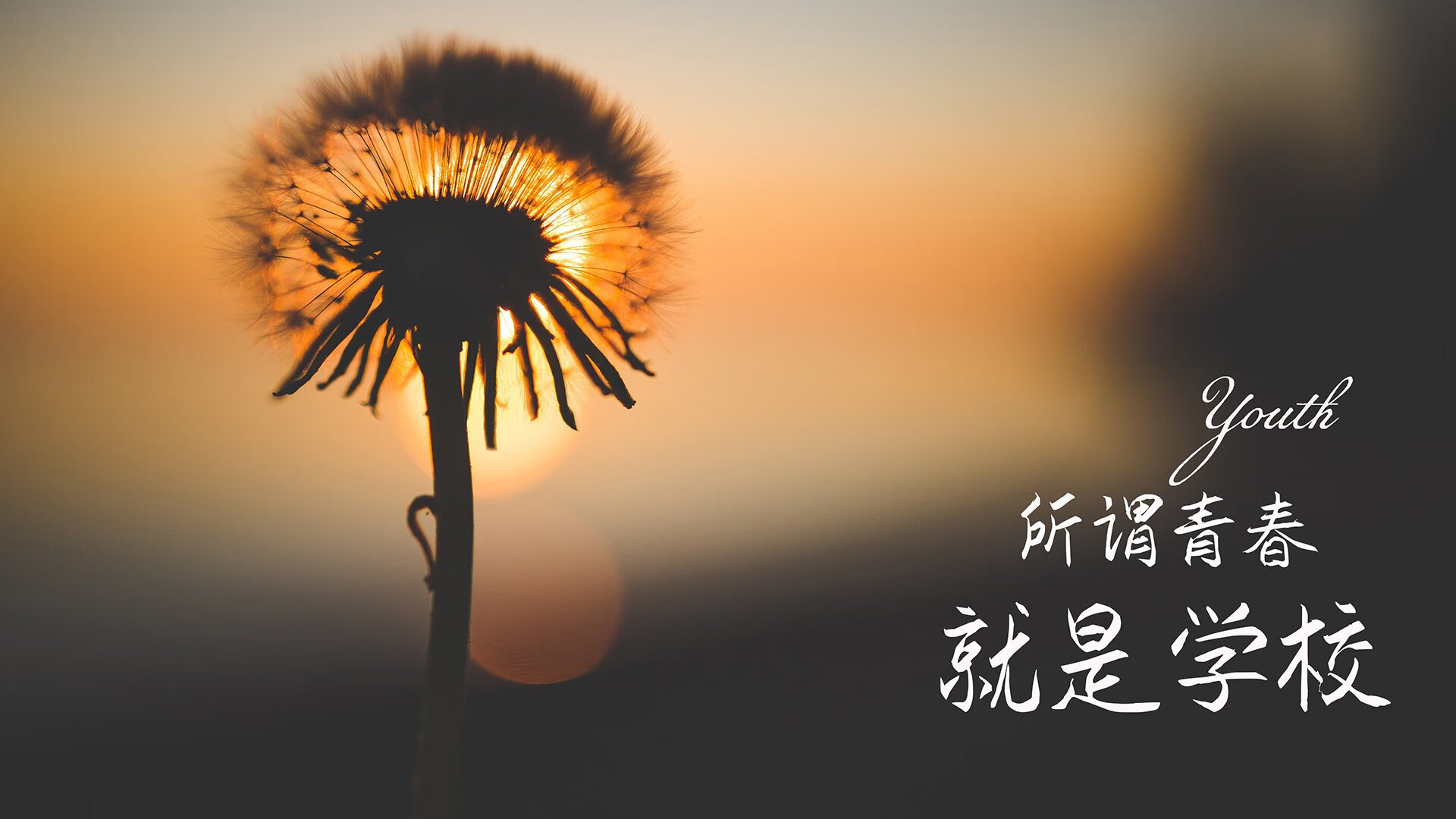 加纳铁壁防守铸就奇迹,德布劳内绝杀一击完胜日本